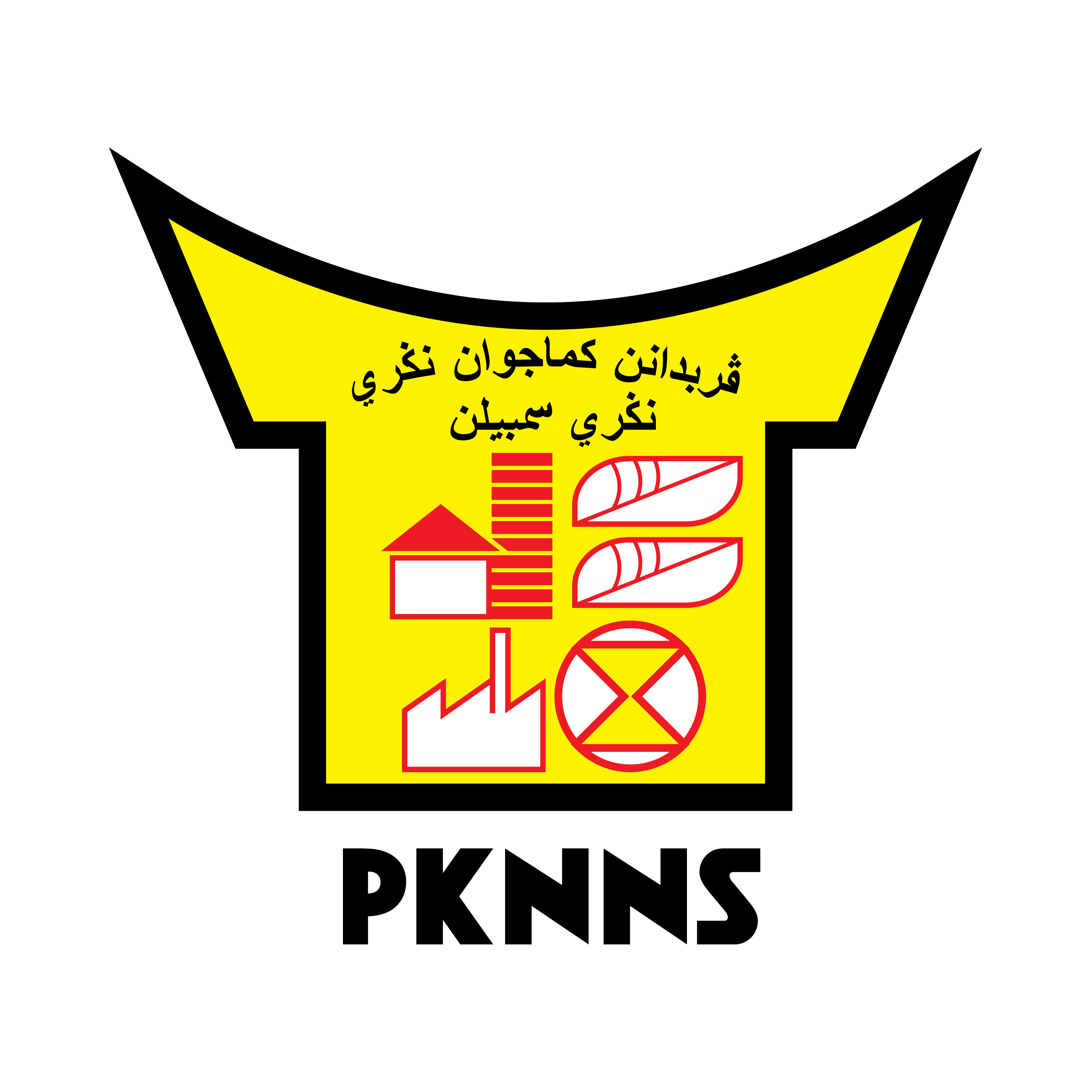 Logo PKNNS